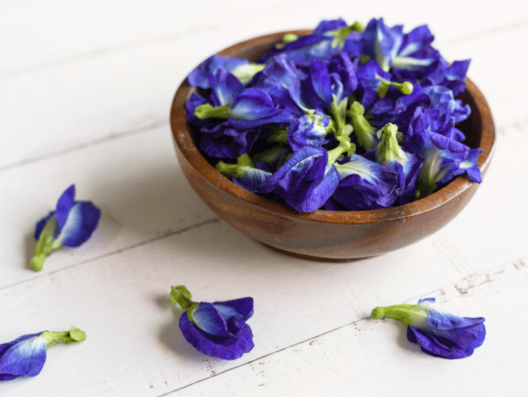 bowl of dried Butterfly pea flower
