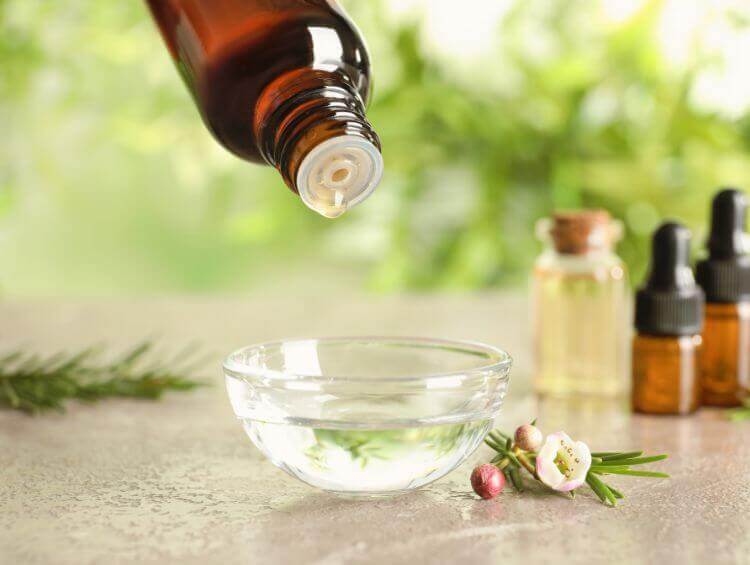 tea tree oil for hair growth treatment