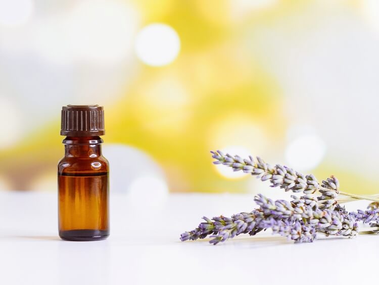 lavender essential oil for scalp treatment for oily hair